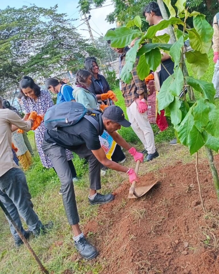 Tree Plantation Through NGOs