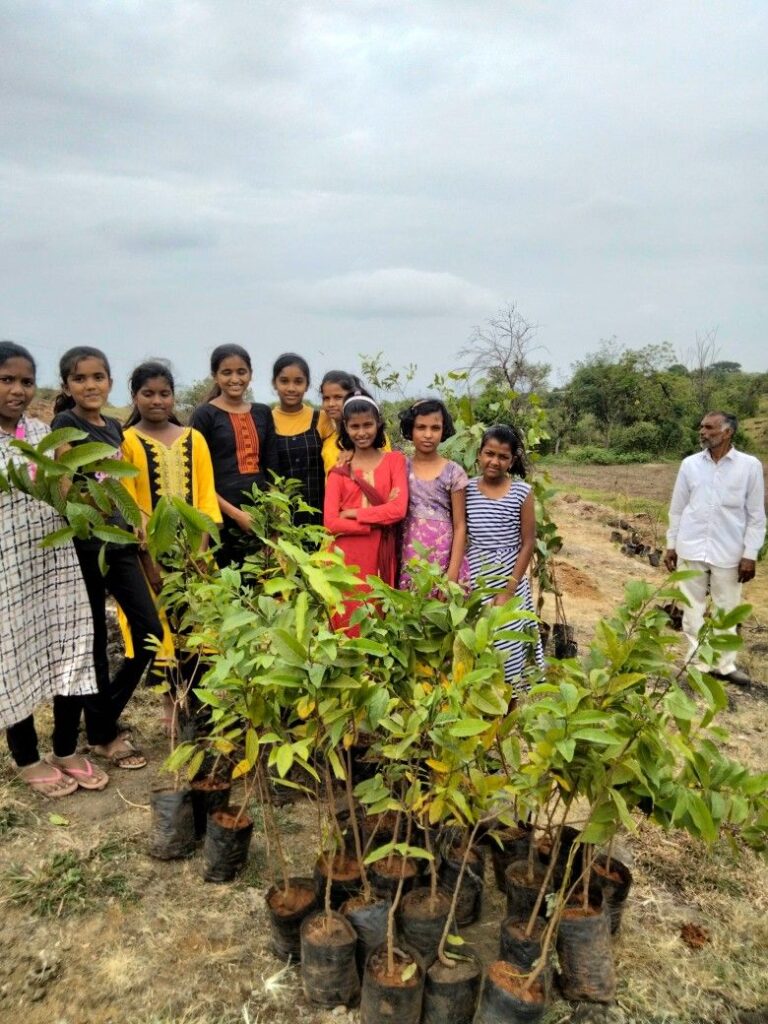 Tree plantation through NGOs