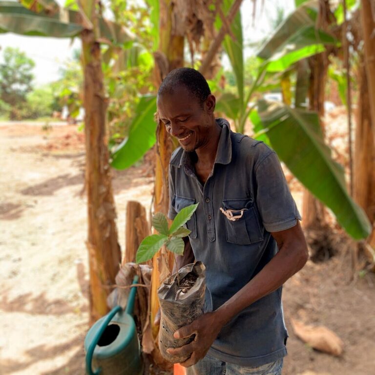 Rural Livelihood Support Tree Plantation Program